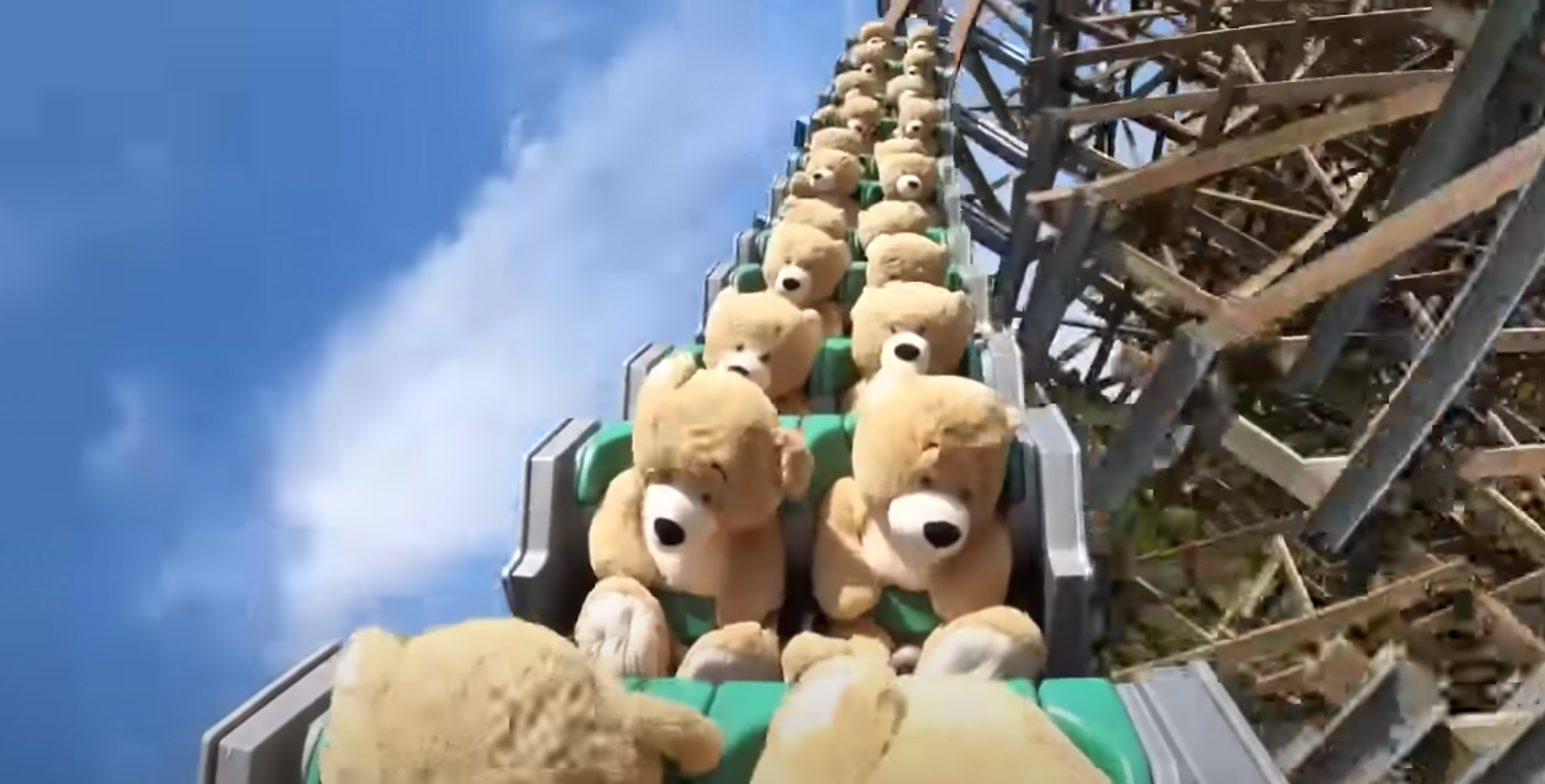 Most adorable roller coaster video, Ever!!!