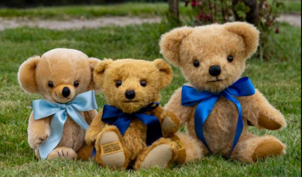 Bear factory on way to smashing fundraising goal