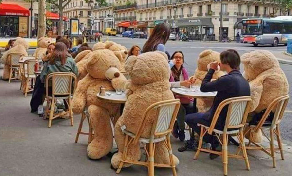 Paris café using teddy bears to enforce social distancing